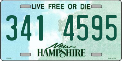 NH license plate 3414595