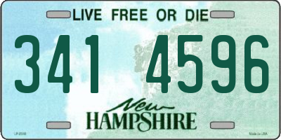 NH license plate 3414596