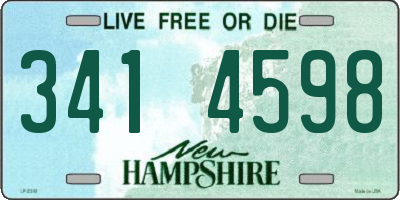 NH license plate 3414598