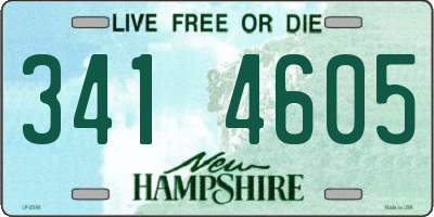 NH license plate 3414605