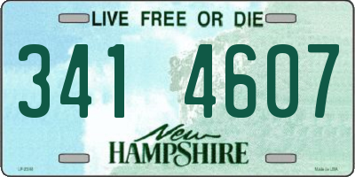 NH license plate 3414607