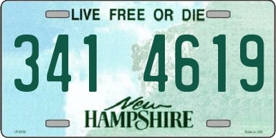 NH license plate 3414619