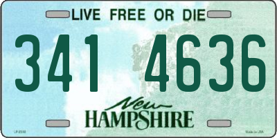 NH license plate 3414636
