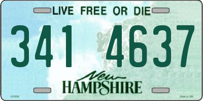 NH license plate 3414637