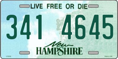 NH license plate 3414645