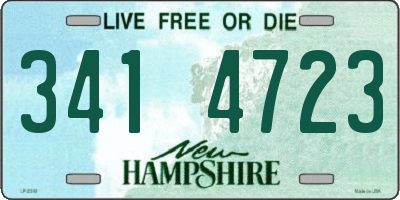 NH license plate 3414723