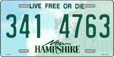 NH license plate 3414763