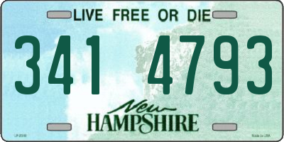 NH license plate 3414793