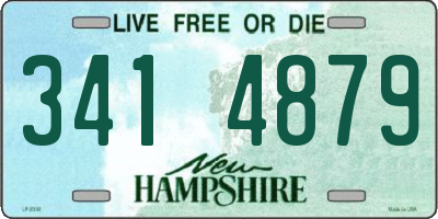 NH license plate 3414879