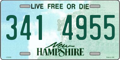 NH license plate 3414955
