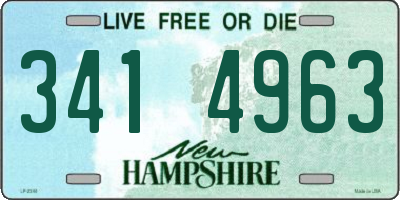 NH license plate 3414963