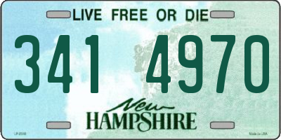 NH license plate 3414970