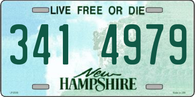 NH license plate 3414979