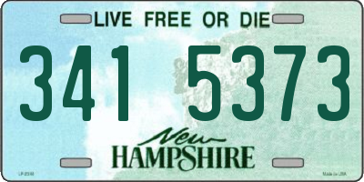 NH license plate 3415373