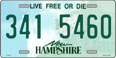 NH license plate 3415460