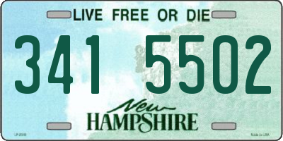 NH license plate 3415502