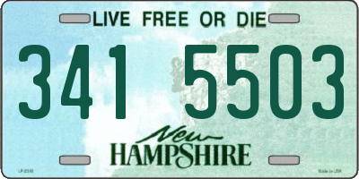 NH license plate 3415503