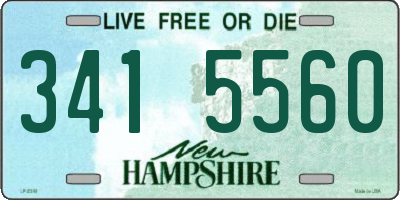NH license plate 3415560