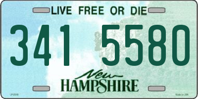 NH license plate 3415580