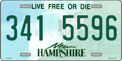 NH license plate 3415596