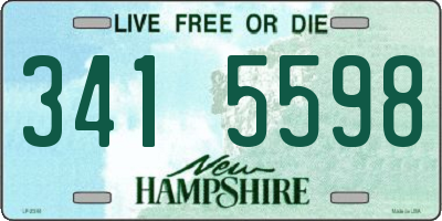 NH license plate 3415598