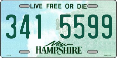 NH license plate 3415599