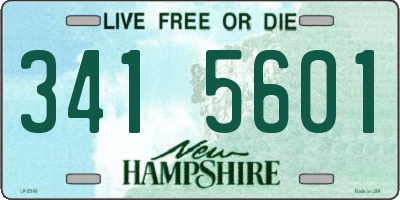 NH license plate 3415601