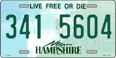 NH license plate 3415604