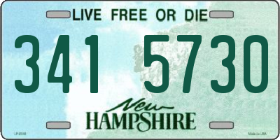 NH license plate 3415730