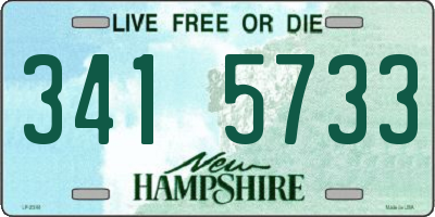 NH license plate 3415733