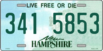 NH license plate 3415853