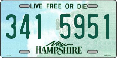 NH license plate 3415951