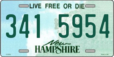 NH license plate 3415954