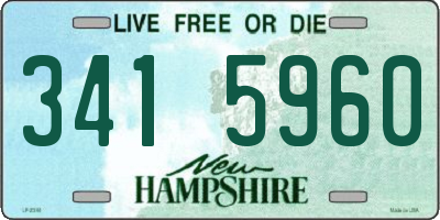 NH license plate 3415960