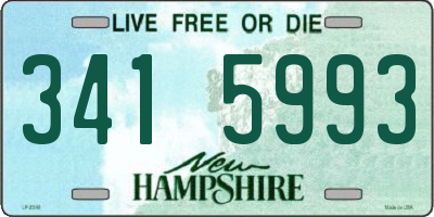 NH license plate 3415993