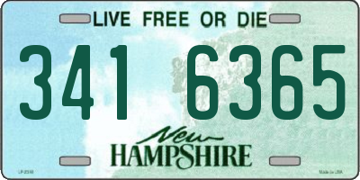 NH license plate 3416365