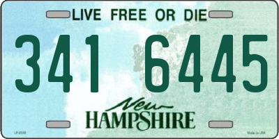 NH license plate 3416445