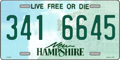 NH license plate 3416645