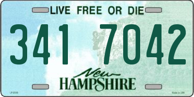 NH license plate 3417042