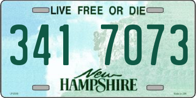 NH license plate 3417073