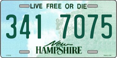 NH license plate 3417075