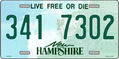 NH license plate 3417302