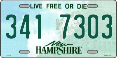 NH license plate 3417303