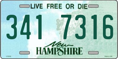 NH license plate 3417316