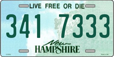 NH license plate 3417333