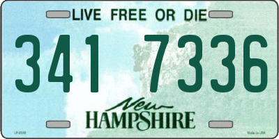 NH license plate 3417336