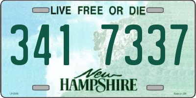NH license plate 3417337