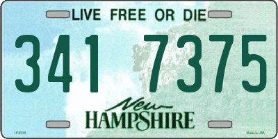 NH license plate 3417375