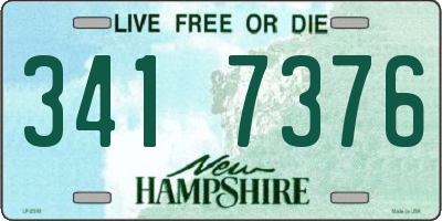 NH license plate 3417376