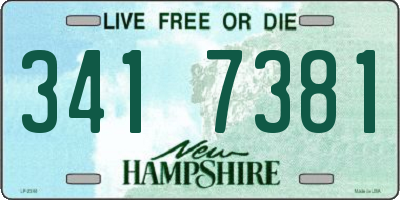 NH license plate 3417381